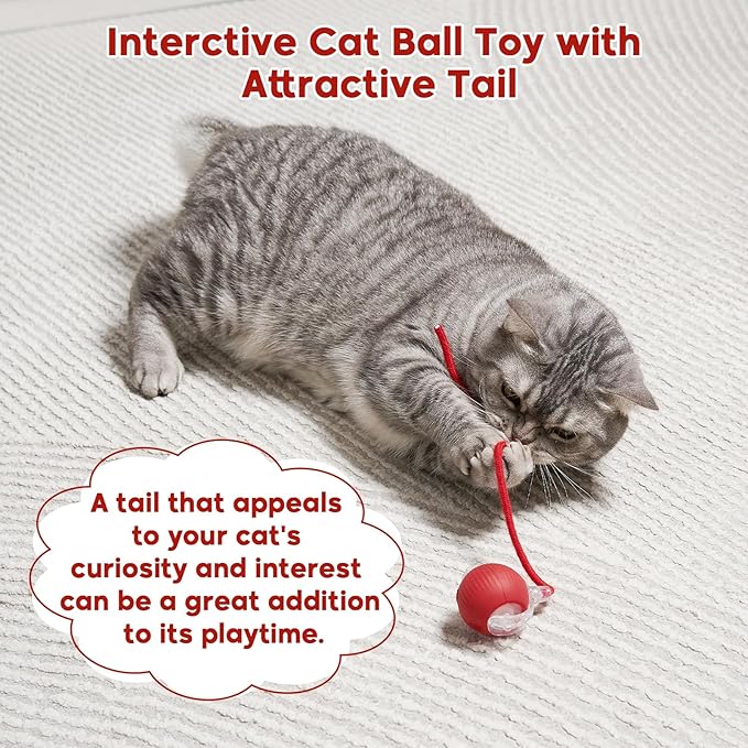 Interactive Cat Toy Dog Toy, Electric Automatic Rolling Moving Toys, Self Activated Play Smart Rolling Ball for Cats & Dogs, Chase Teaser Pet Ball for Bored Indoor Cats/Kittens/Dogs, Rechargeable
