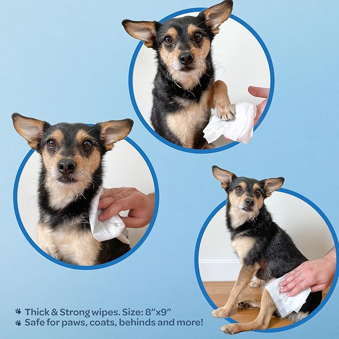 Best Pet Supplies Pet Wipes for Dogs - Dog Wipes Cleaning Deodorizing, Grooming, for Coats, Ears, Paws - Moisturizing Coconut, 400 Count