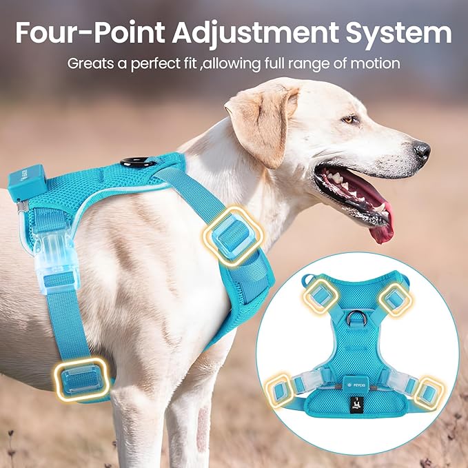 Light Up Dog Harness,Reflective Pet Harness Rechargeable,Led Dog Vest Harness for Night Walking,Adjustable Dog Safety Vest for Small Medium Large Dogs-No Pull,Blue,L
