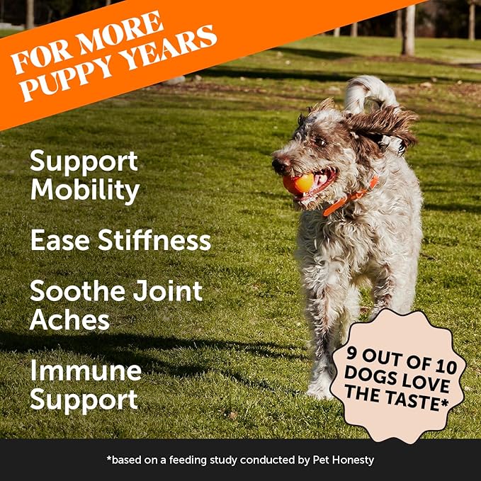 Hip & Joint Turmeric Health - Joint Supplement for Dogs, Omega-3 Fish Oil, Turmeric to Support Overall Health & Ease Stiffness - Advanced Pet Mobility Support - 90 Ct (Pumpkin)