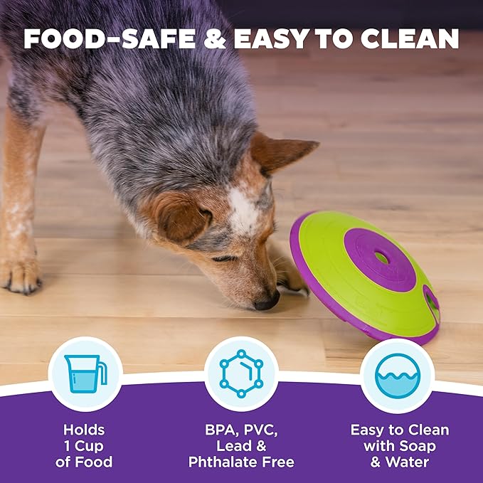 Outward Hound by Nina Ottosson Dog Treat Maze Dog Puzzle Enrichment Toy, Level 2 Intermediate, Green