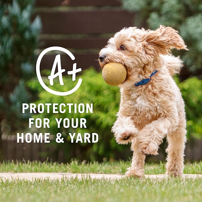 PETARMOR Home Carpet Powder for Fleas and Ticks, Protect Your Home From Fleas and Deodorizes Carpets, 16 Ounce