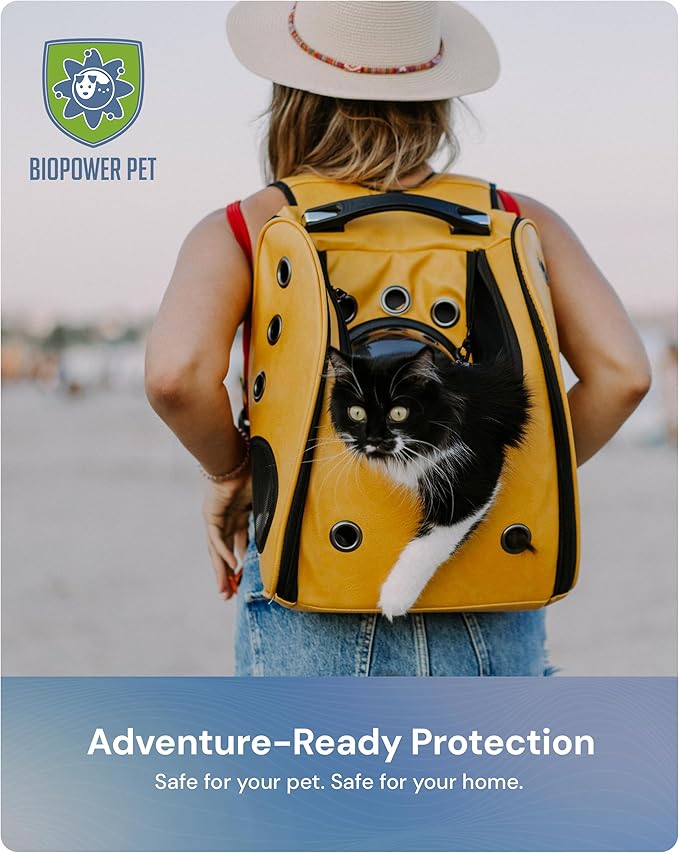 Natural Flea & Tick Repellent Collar Tag for Dogs & Cats – BioPower Pet Shield – Safe for Pets When Used as Directed – Lasts 1 Full Year - Regular Tag (1Pack)