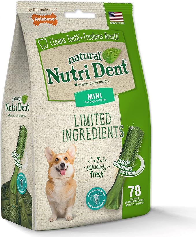 Nylabone Nutri Dent Dog Dental Chews, Natural Teeth Cleaning Treats & Breath Freshener for Dogs, Fresh Mint Flavor, Mini (78 Count)