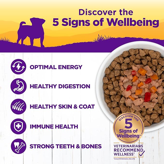 Wellness Petite Entrees Mini Fillets Grain Free Natural Wet Small Breed Dog Food, Roasted Chicken, Carrots & Red Peppers, 3-Ounce Cup (Pack of 24)