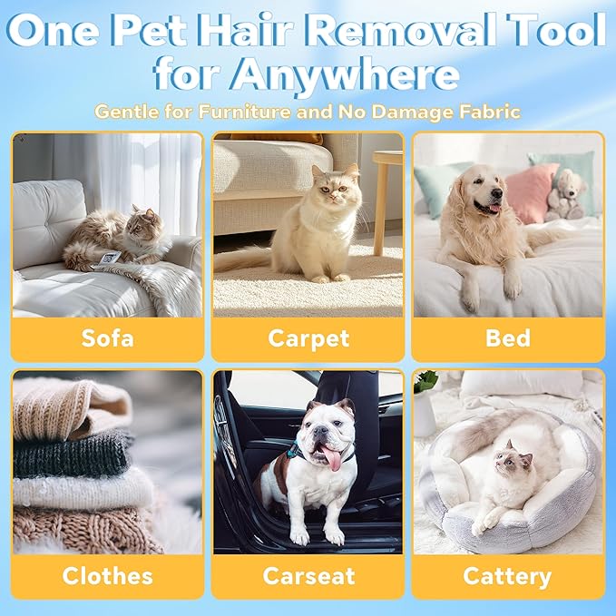 Pet Hair Removal Tool, 4 in 1 Reusable Washable Lint Brush for Cat and Dog Hair Remover, Gentle on Furniture with Extra Long Handle for Couch, Carpet, Clothing, Bedding, Car, Window