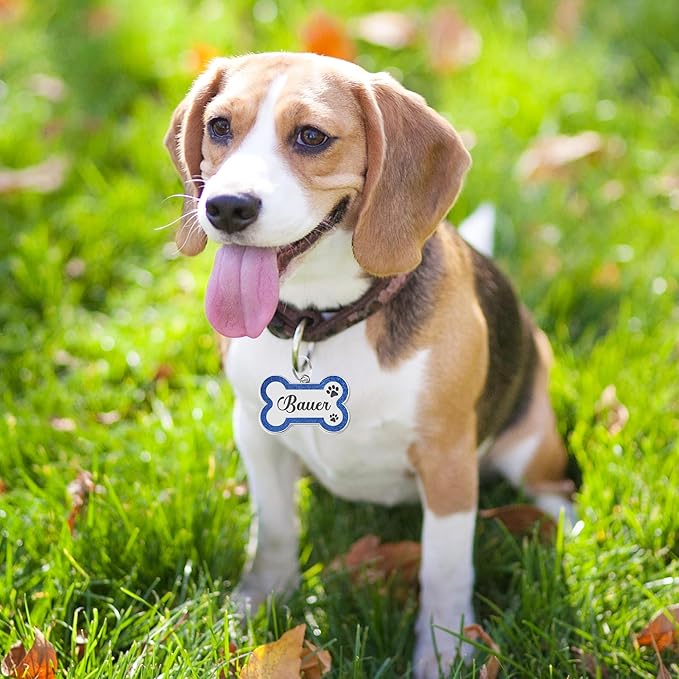 Dog Tags Personalized for Pets Dog Name Tags Personalized Dog Tag Engraved with Any Name & Text Custom Dog ID Tags Glitter Bone ID Tag for Puppy Cat (Pink L, Bone)