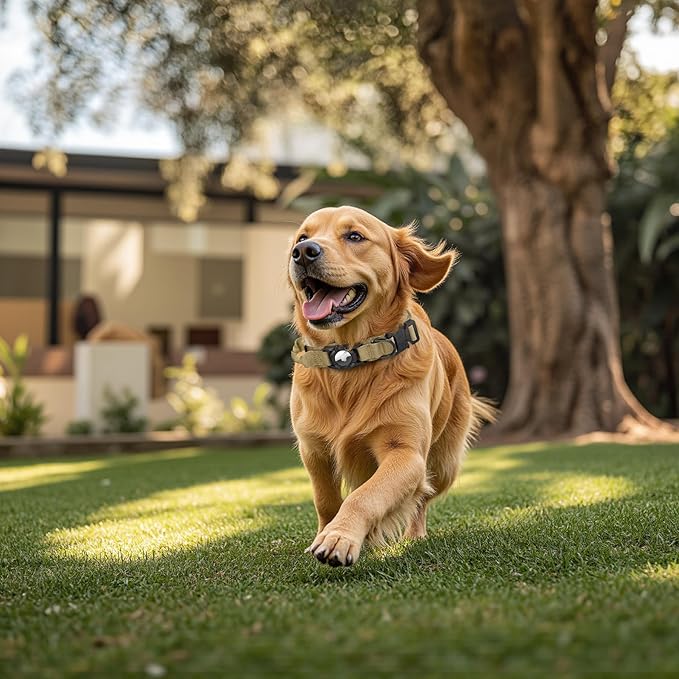 Tactical AirTag Dog Collar Leash Set - Heavy Duty, Adjustable GPS Collar Compatible with Apple AirTag, with Holder & Control Handle for Medium/Large Dogs [ Brown, M ]