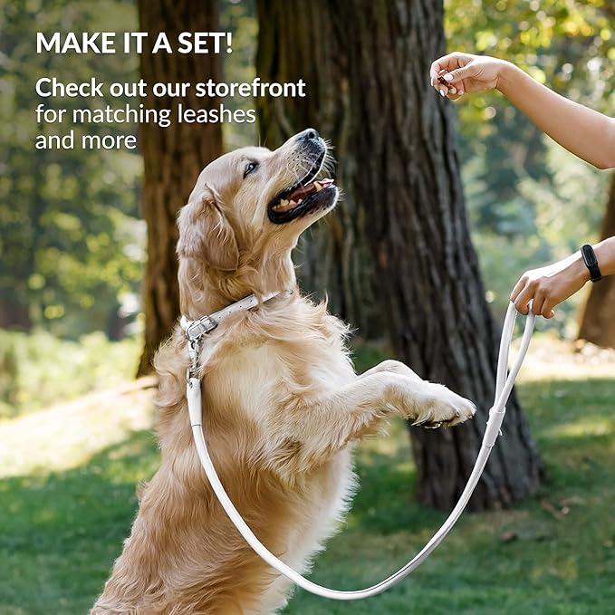 CollarDirect Rolled Leather Dog Collar, Soft Padded Round Puppy Collar, Handmade Genuine Leather Collar Dog Small Large Cat Collars 13 Colors (6-7 Inch, White Smooth)