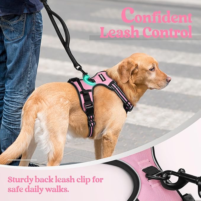 rabbitgoo Dog Harness No Pull with 2 Leash Clips, Adjustable Soft Padded, Reflective Oxford No Choke Pet Vest with Easy Control Handle for Large Dogs, Pink, XL