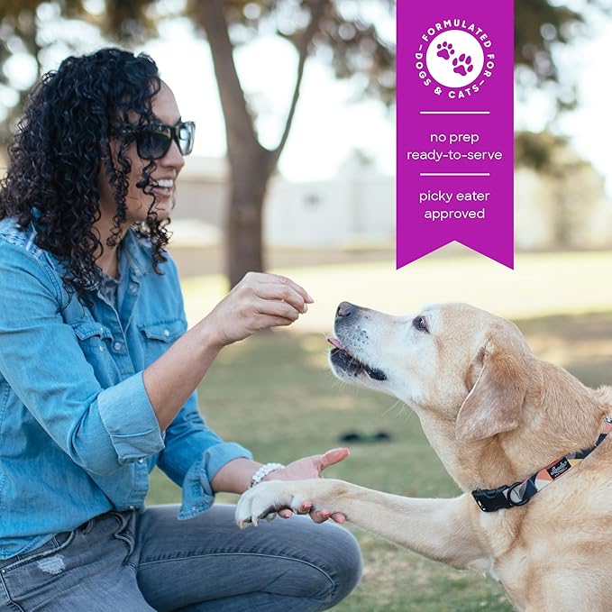 smallbatch Freeze Dried Dog Treats, Superfood Food Topper Turkey Bites for Dogs & Cats, Probiotics, Organic Ingredients, High Protein, Grain Free Healthy Food Topper, Made in The USA, 18 oz Bag