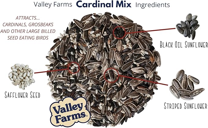 Valley Farms Cardinal Mix (10 LB) Wild Bird Food for Outside Feeders, Cardinal Bird Seed with Black Oil Sunflower Seeds and Safflower Seeds, Attract a Variety of Wild Birds