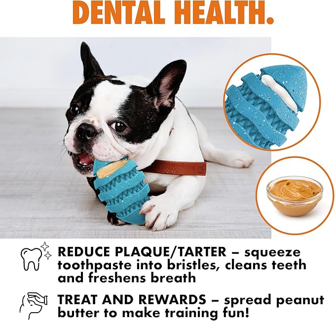 Max Fusion with Nike Grind, Arlee Spiro Football Treat Dispensing Dog Toy, Durable Dog Treat Toy, L