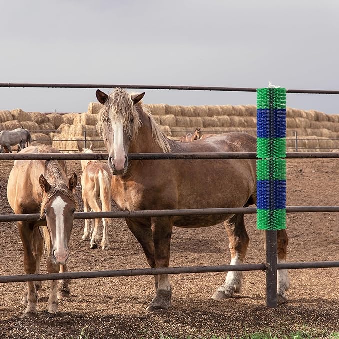 2PCS Livestock Scratch Brush, 17.5 x 7.8 Inch Goat Brushes for Grooming, Horse Brushes for Scratching, Livestock Brushing with 4 Screws for Horse, Elk, Cattle, Pig, Sheep（Green）