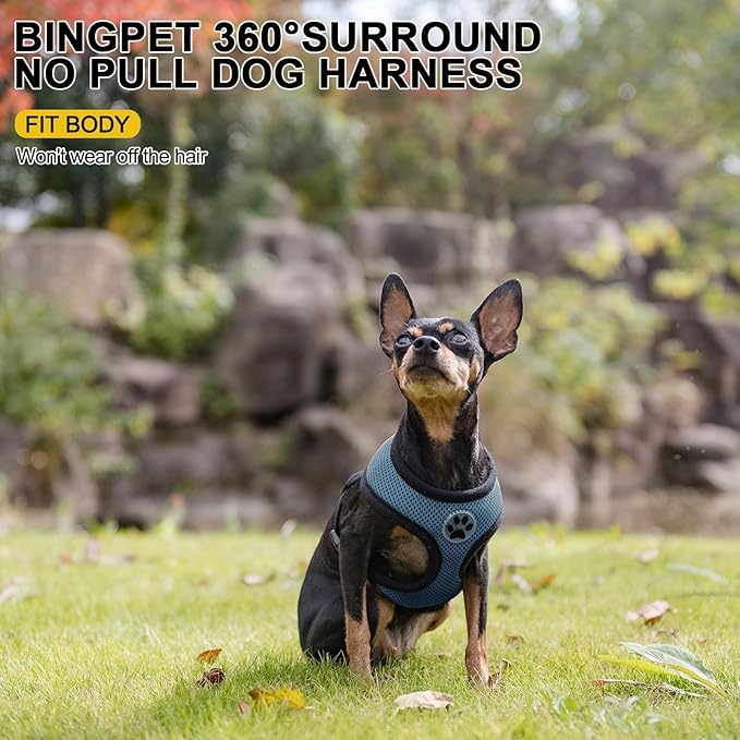BINGPET Small Dog Harness - Breathable Mesh Puppy Cat Harnesses - No Pull Adjustable Dog Harness Dog Vest Harness for Small and Medium Dogs