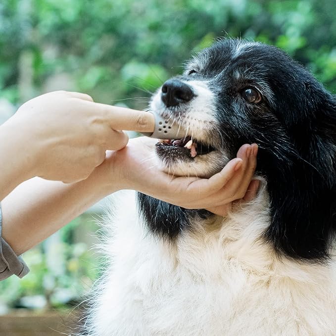 Coomazy Dog Finger Toothbrush, Dog Tooth Brushing Kit with Food Grade Silicone, Easily Clean Teeth Dirt, Suitable for Medium and Large Dogs, 2-Packs, Blue+Pink
