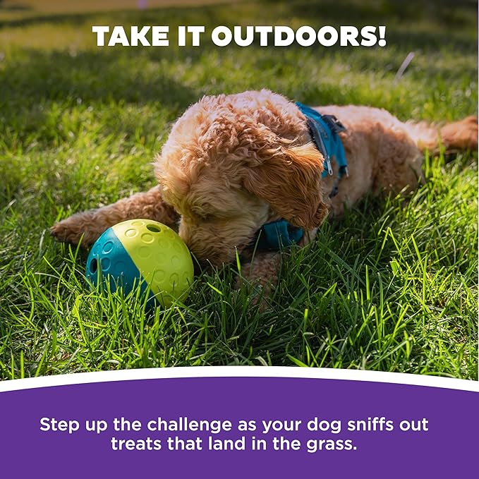 Outward Hound by Nina Ottosson Treat Tumble Interactive Puzzle Ball Dog Toy, Level 1 Beginner, Blue, Small (4.75" Diameter)