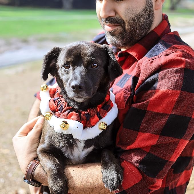 Huxley & Kent Ruff Pet Scrunchy | Buffalo Check (Medium) | Festive Christmas/Holiday Neckwear for Dogs/Cats | Fun Stretchable Costume Accessory | Soft Collar with Bells