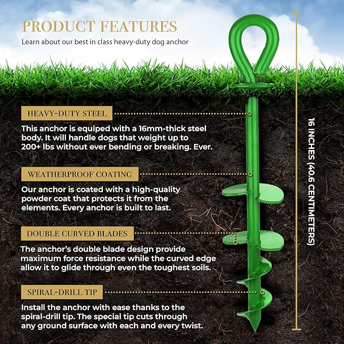 ROYAL-PAW Dog Tie Out Stake - for Large Dogs up to 210 lbs - Heavy Duty Dog Stake for Yard, Beach & Camping Outside - Best in Ground Anchor for a Dog Cable, Leash, Lead Tether (Green)