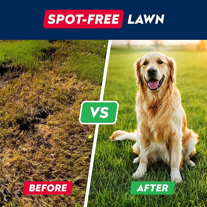 STRELLALAB Green Grass Dog Chews - Dog Pee Grass Helper - Supplement Urine Neutralizer for Grass Burn Spots - Grass Treatment for Pet Urine - Pee Lawn Repair Treats with Probiotics - Made in USA