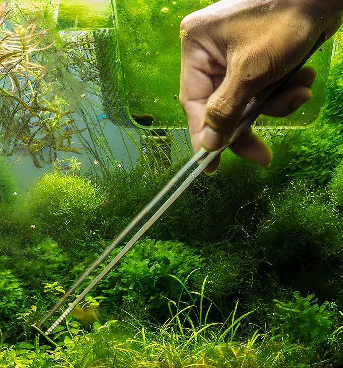 Mandala Crafts Stainless Steel Aquascaping Tools Kit – Aquarium Plant Tools with Tweezers, Spatula, and Scissors for Fish Tanks, Hospital Tanks, Goldfish Bowls, Aquariums, and Terrariums