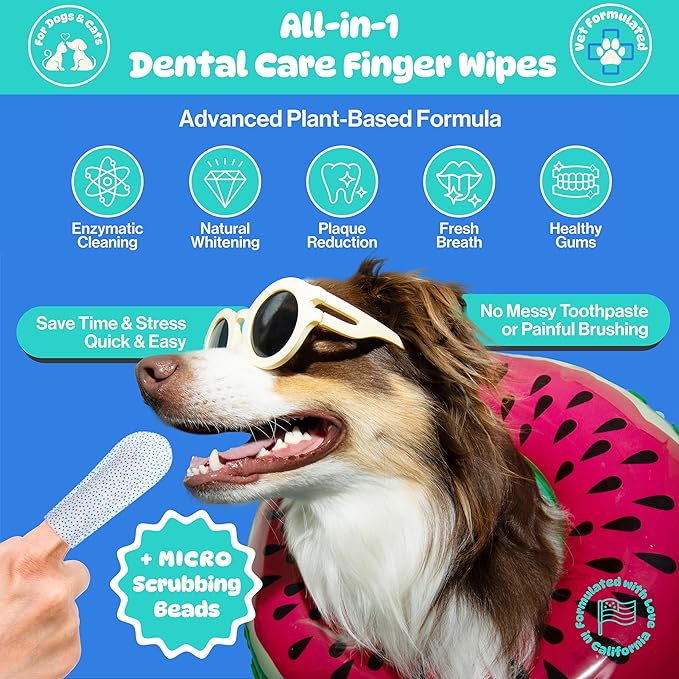 All-in-1 Dog Teeth Cleaning Wipes | Enzymatic Whitening + Premium Scrubbing Beads | No Mess, Pet Dental Wipes & Finger Tooth Brushing Kit | Plant-Based Dental Care for Cats & Dogs (60 Count)