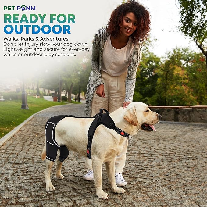 Dog ACL Knee Brace for Back Left Leg - with Integrated Harness - for Cruciate Ligament Injuries, Patellar Luxation, Post-Surgery Recovery. Durable, Breathable Material, Eases Pain - (XSmall)