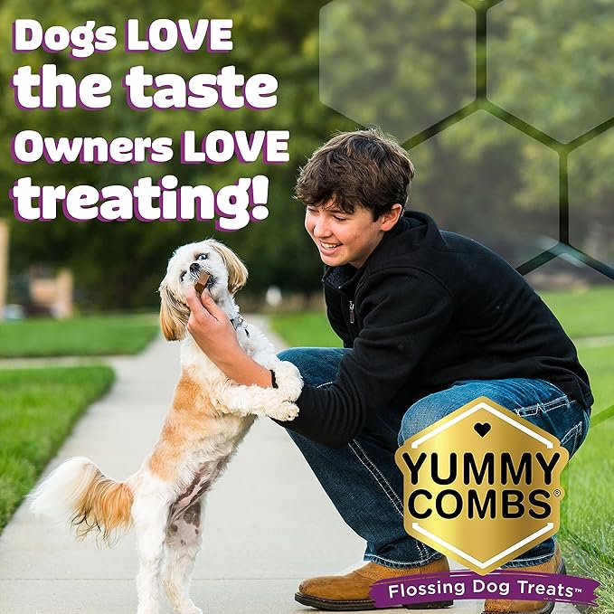 Dog Dental Treats – Vet VOHC Approved, Removes Tartar & Cleans Teeth – Yummy High Protein Chicken Treat for Large Dogs (Mini Pack, 6 Count)