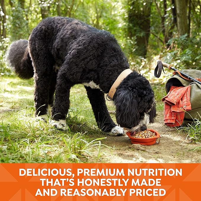 Nature's Recipe Grain Free Chicken Recipe in Savory Broth Wet Dog Food, 2.75 oz. Cup, 12 Count