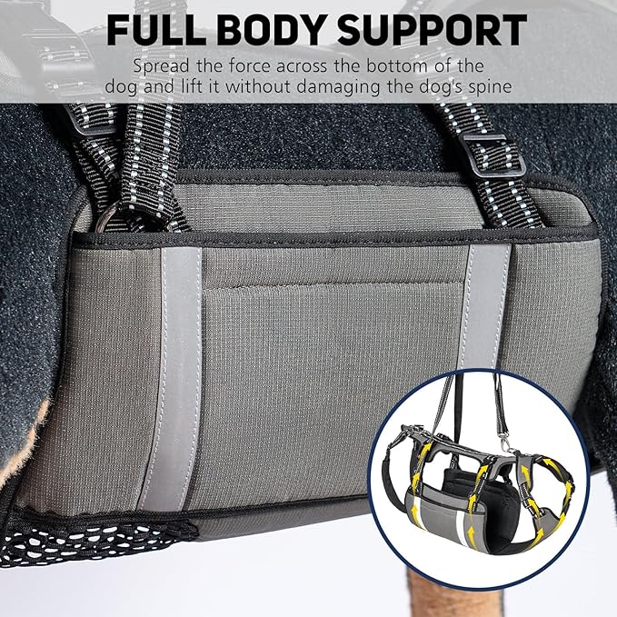 COODEO Mobility Dog Lift Harness, Emergency Carry Sling, Pet Rear Leg Support Rehabilitation Lifts Vest, Dog Carrier for Senior Dogs Joint Injuries, Arthritis (Orange, M)