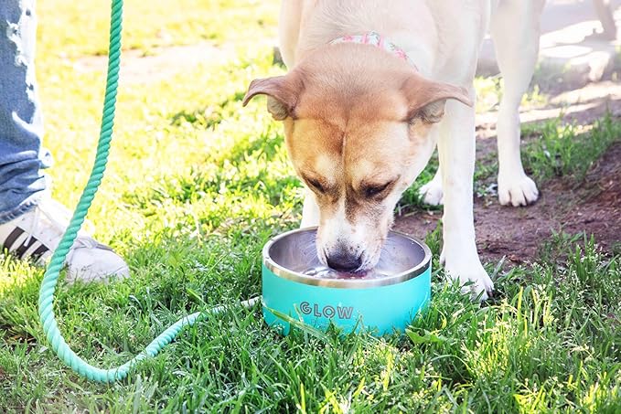 Dog Bowl, Dog Water Bowl Vacuum Insulated Stainless Steel, Non-Slip, Spill-Proof, Easy Clean, Keeps Water Cool, Cute, Stylish Pet Bowl, 64 oz, Light Blue, Modern