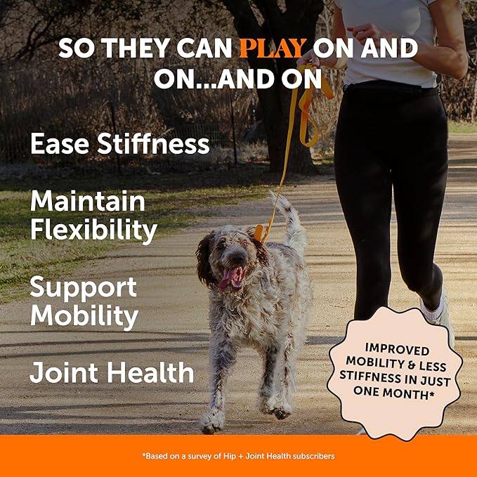 Hip & Joint Health - Glucosamine for Dogs Soft Chews, Joint Supplement for Dogs with Glucosamine Chondroitin, Fish Oil, MSM, Turmeric, Advanced Pet Mobility Support (Bacon 90 Ct)
