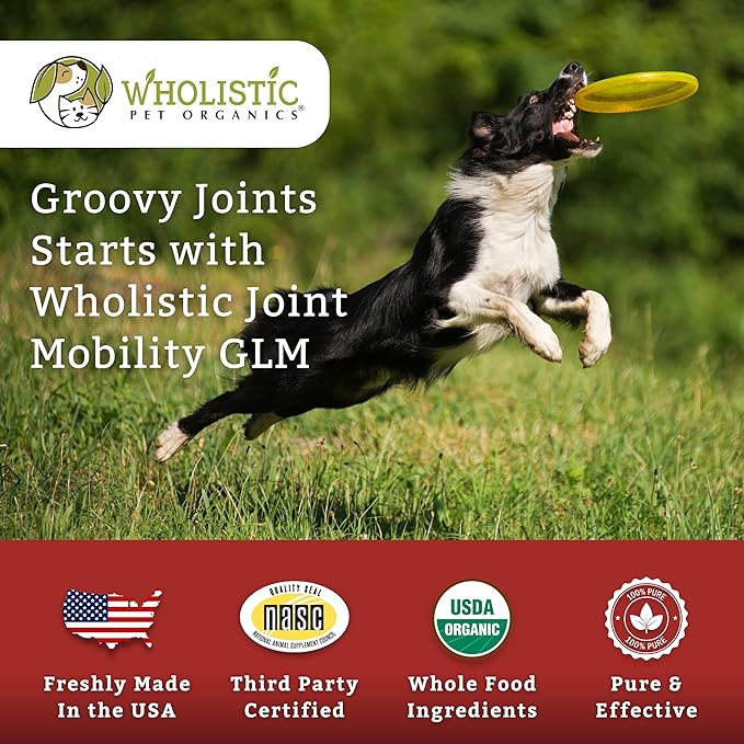 Wholistic Pet Organics Joint Mobility GLM - 2 Lb - Glucosamine for Dogs and Chondroitin Supplement Green Lipped Mussels - Joint Supplement for Dogs - Arthritis Pain Reliever for Large & Small Breeds