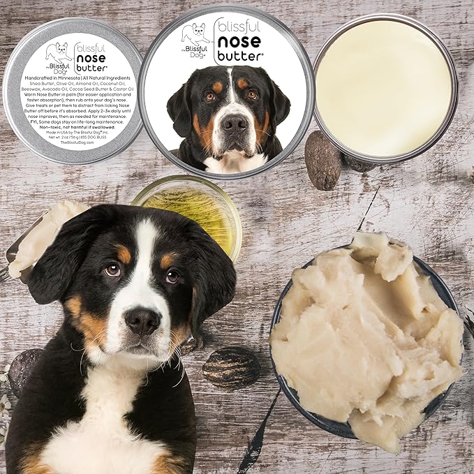 The Blissful Dog Greater Swiss Mountain Dog Unscented Nose Butter - Dog Nose Butter, 16 Ounce