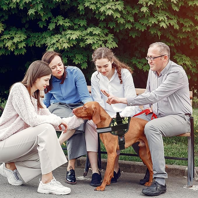 Dogline Dog Harness, Reflective No-Pull Adjustable Vest with Handle for Walking, Training, Breathable, No - Choke Harness for Small, Medium or Large Dogs Room for Patches Girth 22"-28" in Green Camo