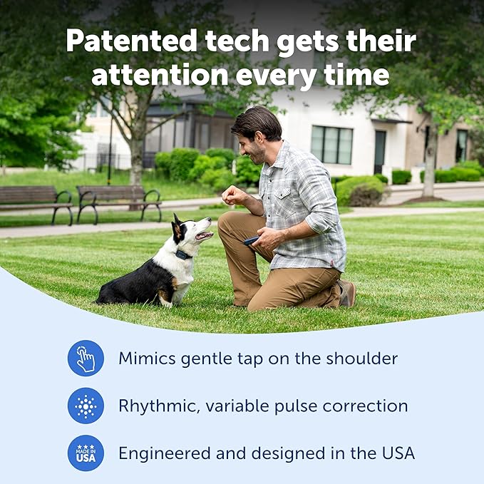 PetSafe Pro Remote Trainer Add-A-Dog Collar – Extra Collar for Dog Training Collar with Remote – Waterproof – 1000 Ft Range – Tone, Vibration and 19 Levels of Static – Sleek, Low-Profile Design