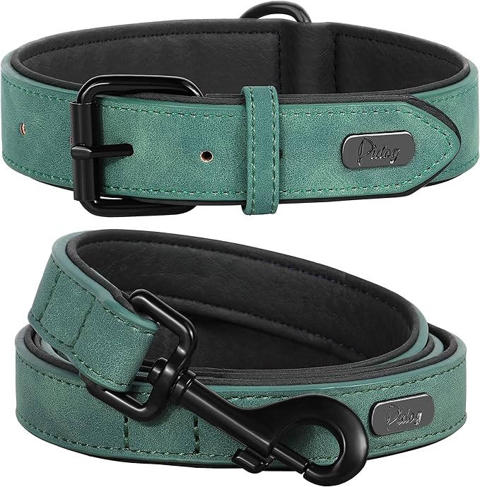 Didog Soft Padded Leather Dog Collar and Leash Set, Adjustable 4FT Faux Leather Dog Leash and Collar Set with Metal Buckle for Small Medium Large Dogs, Green, L
