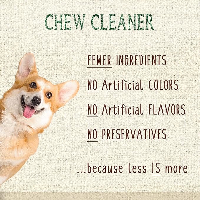 Nylabone Nutri Dent Dog Dental Chews - Natural Dog Teeth Cleaning & Breath Freshener - Dental Treats for Dogs - Filet Mignon Flavor, Mini (160 Count)