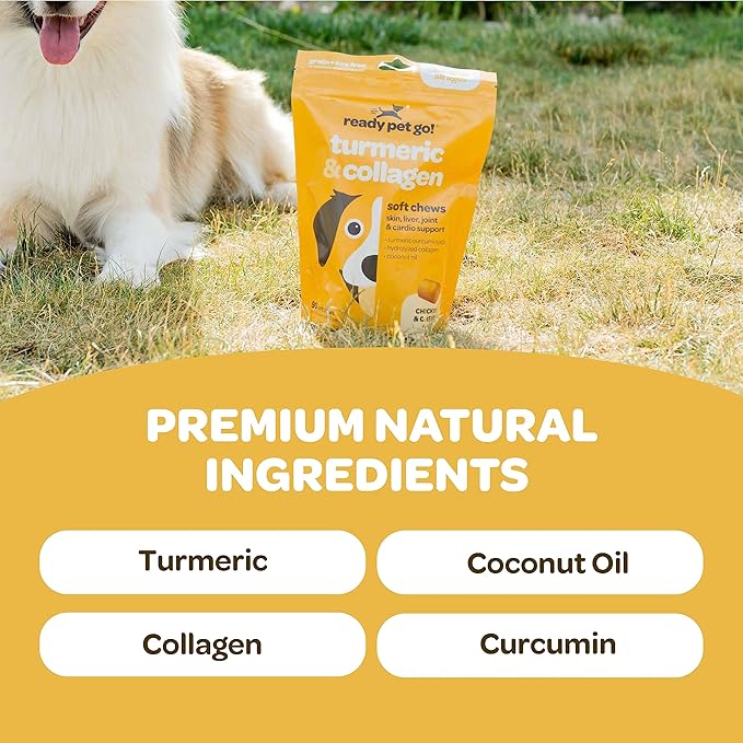 Turmeric for Dogs Soft Chews | Hip and Joint Chews for Dogs Comfort & Mobility with Collagen for Dogs | Dog Joint Supplement for All Ages Breeds & Sizes | NASC Certified & Made in The USA | 90 Chews