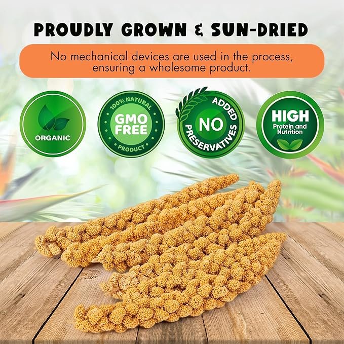 5LBS GMO-Free Sun Dried Spray Millet - Original Bird Treat Millet for Parakeets, Cockatiels, Finches & More - Non-GMO, High in Amino Acids, Easy Storage, Tasty & Healthy Bird Snacks (5 lbs)