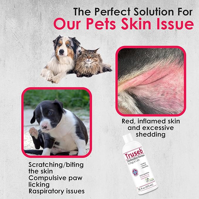 Truseb Topical Ketoconazole and Chlorhexidine Shampoo for Dogs, Cats & Horses with Aloe Vera and Conditioner(USA) (Ketoconazole & Chlorhexidine Shampoo, 16 oz)