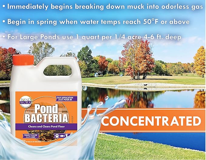 Pondworx Pond Bacteria - Concentrated & Formulated for Large Ponds, Water Features - Safe for Koi - 32ounes & Treats up to a Quarter Acre Pond