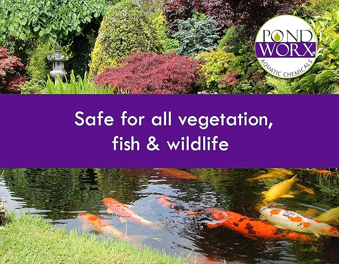Pondworx Pond Bacteria - Concentrated & Formulated for Large Ponds, Water Features - Safe for Koi - 32ounes & Treats up to a Quarter Acre Pond