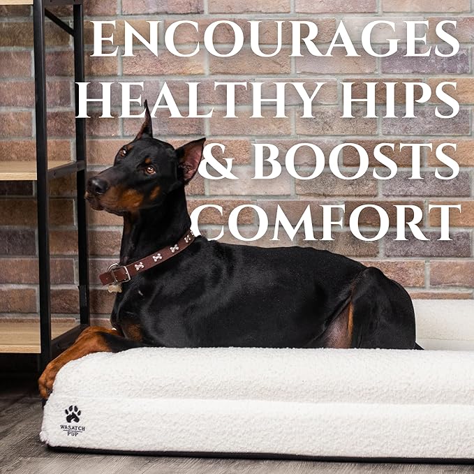 Luxury Boucle Fabric Orthopedic Dog Bed with Memory Foam | Breathable Comfort and Washable Dog Couch Bed with Waterproof Liner & Cover | Ideal Sofa Beds for Medium Dogs - Charcoal 37"x30x6