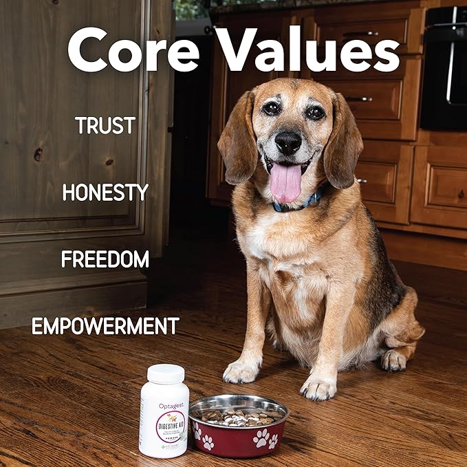 InClover Optagest Natural Digestive Aid, Organic Prebiotics & Enzymes Supplement Powder for Dogs and Cats - Promotes Healthy Stools, Less Gas, Optimal Nutrient Absorption, Intestinal Balance, 3.5oz