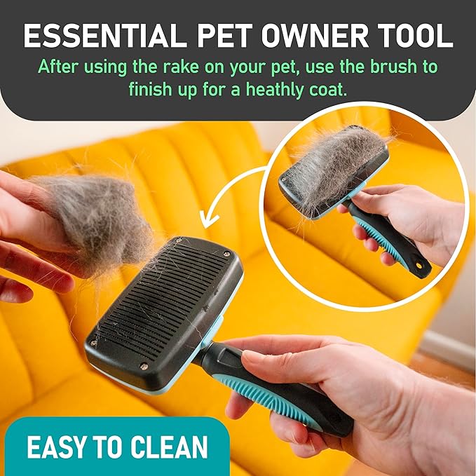 Maxpower Planet Dog Rake and Dog Hair Brush - Gently Removes Loose Undercoat, Mats and Tangled - Deshedding Grooming Tool for Dogs & Cats - Self Cleaning Slicker Brush - All Hair Types