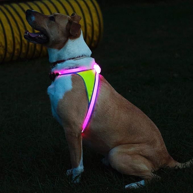 Noxgear LightHound – Revolutionary Illuminated and Reflective Harness for Dogs Including Multicolored LED Fiber Optics (USB Rechargeable, Adjustable, Lightweight, Rainproof) (X-Large)
