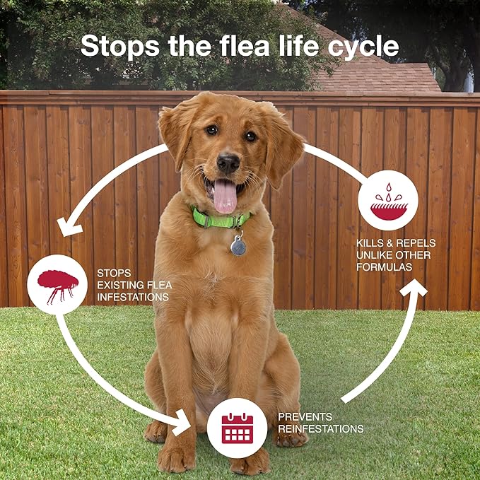 K9 Advantix II Medium Dog Vet-Recommended Flea, Tick & Mosquito Treatment & Prevention | Dogs 11-20 lbs. | 6-Mo Supply (Pack of 2)