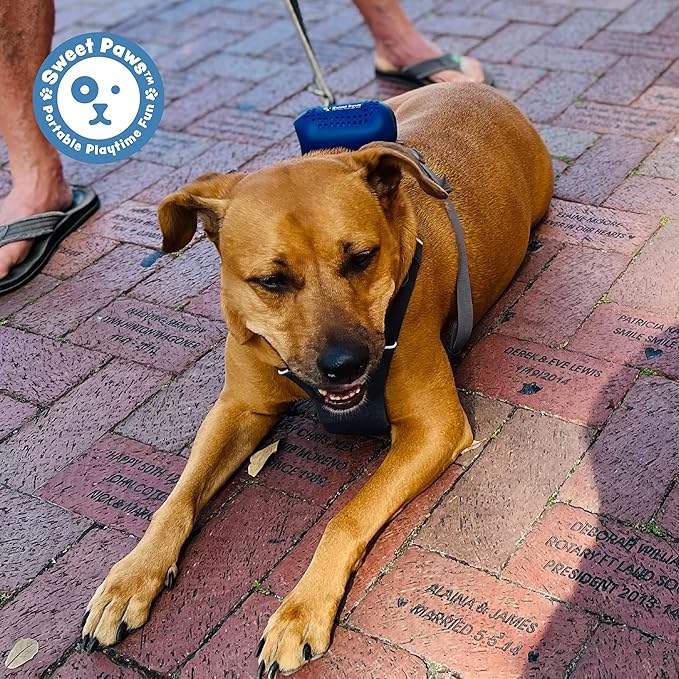 Sweet Paws Portable Dog Paw Towel, Lightweight & Super Absorbent Microfiber, Clips onto Leash, Quick Drying Towel for Dogs Paws with Silicone Case, Dry Dog’s Paws on The Go - 3 Pieces Set - Large