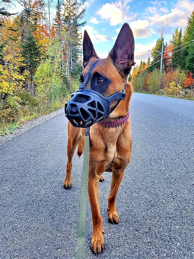 Mayerzon Dog Muzzle, Breathable Basket Muzzles for Small, Medium, Large and X-Large Aggressive Dogs Beagle German Shepherd Doberman, Cage Mouth Guard Stop Biting Chewing for Grooming Training